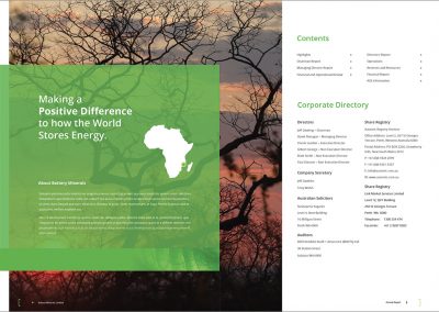 Battery Minerals Annual Report